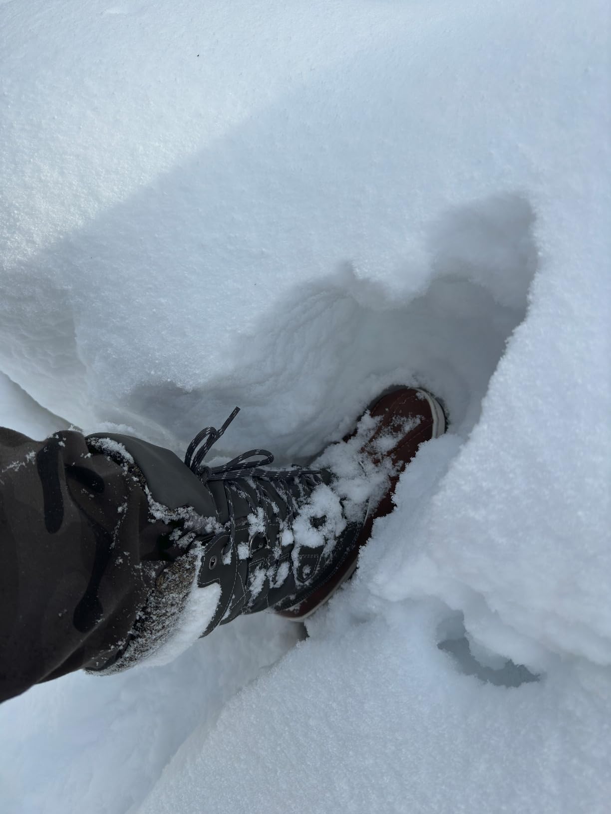 DREAM PAIRS Women's Waterproof Winter Snow Boots customer photo 1