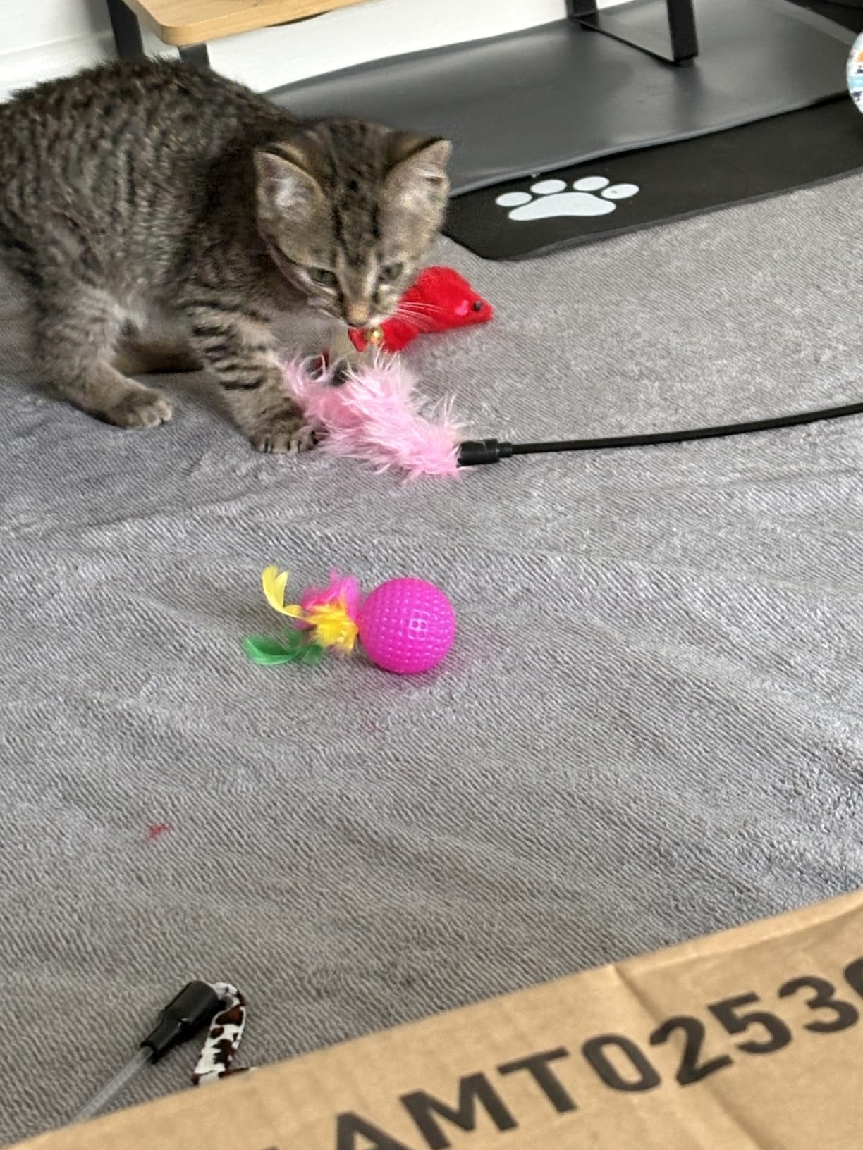 AILUKI 35PCS Cat Toys Variety Pack for Indoor Cats, Kitten Toys Cat Tunnel customer photo 2