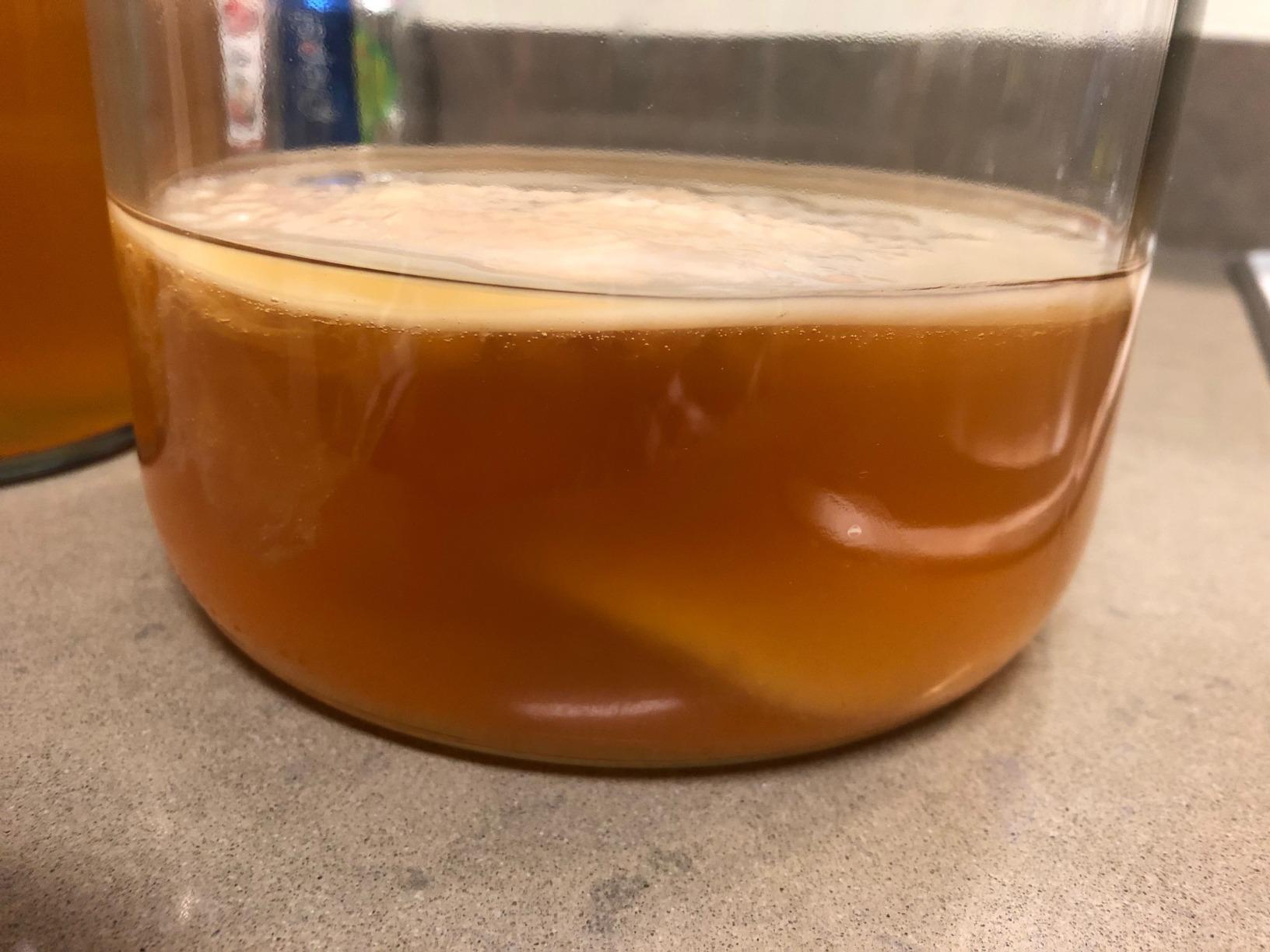 Kombucha Starter Kit with Everything to Brew Kombucha at Home. Kombucha Brewing Kit with SCOBY, Starter Tea, Organic Sugar, pH Strips, Thermometer Strip, Instructions, & More customer photo 1
