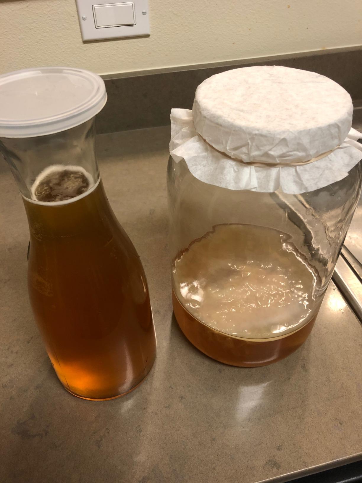 Kombucha Starter Kit with Everything to Brew Kombucha at Home. Kombucha Brewing Kit with SCOBY, Starter Tea, Organic Sugar, pH Strips, Thermometer Strip, Instructions, & More customer photo 2