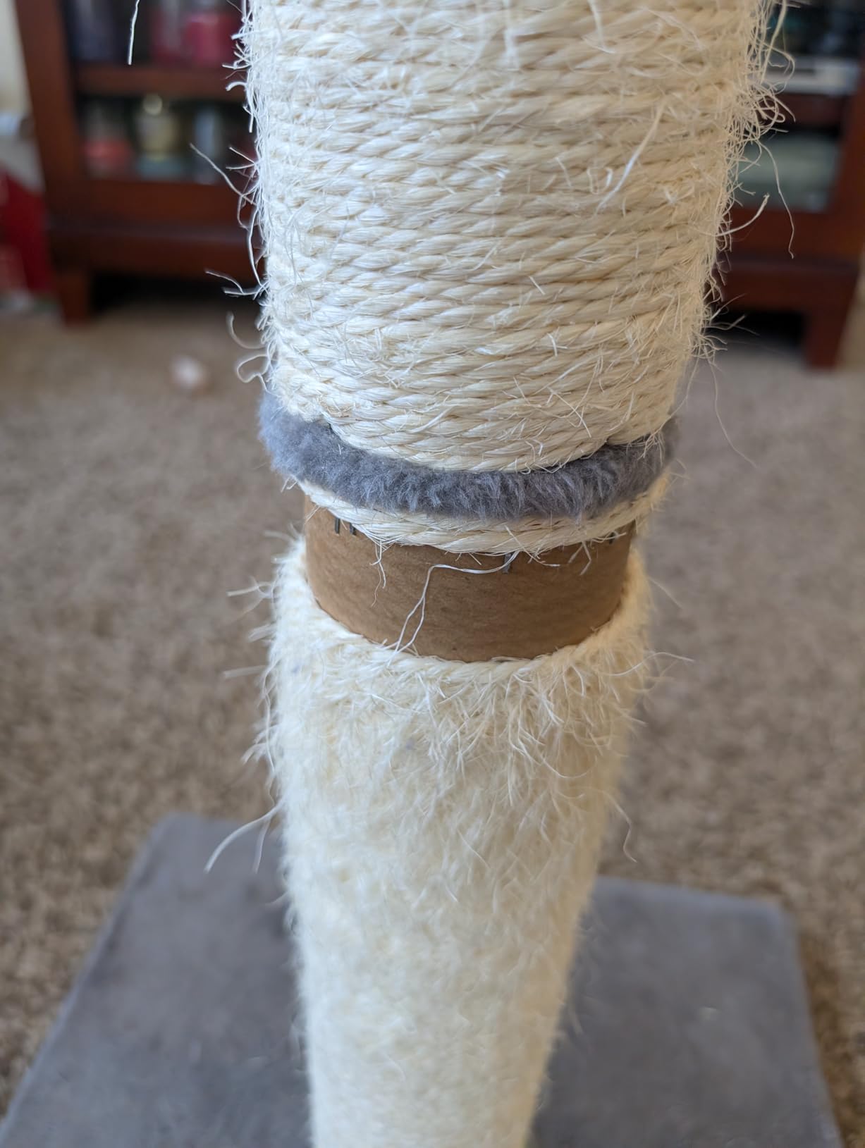 Amazon Basics Cat Scratching Post for Indoor Cats & Kittens, Medium (31.5
