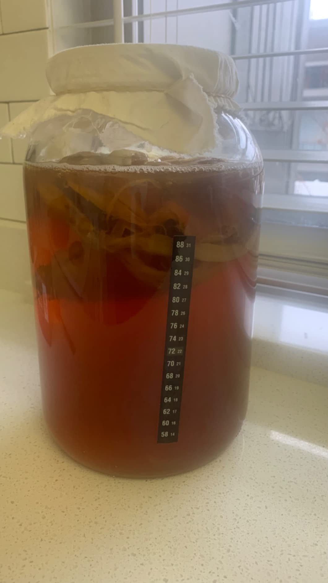 Starter Kit – Includes Organic SCOBY, Starter Liquid, 1 Gallon Glass Jar, Temp Gauge, Tea, and Sugar customer photo 2