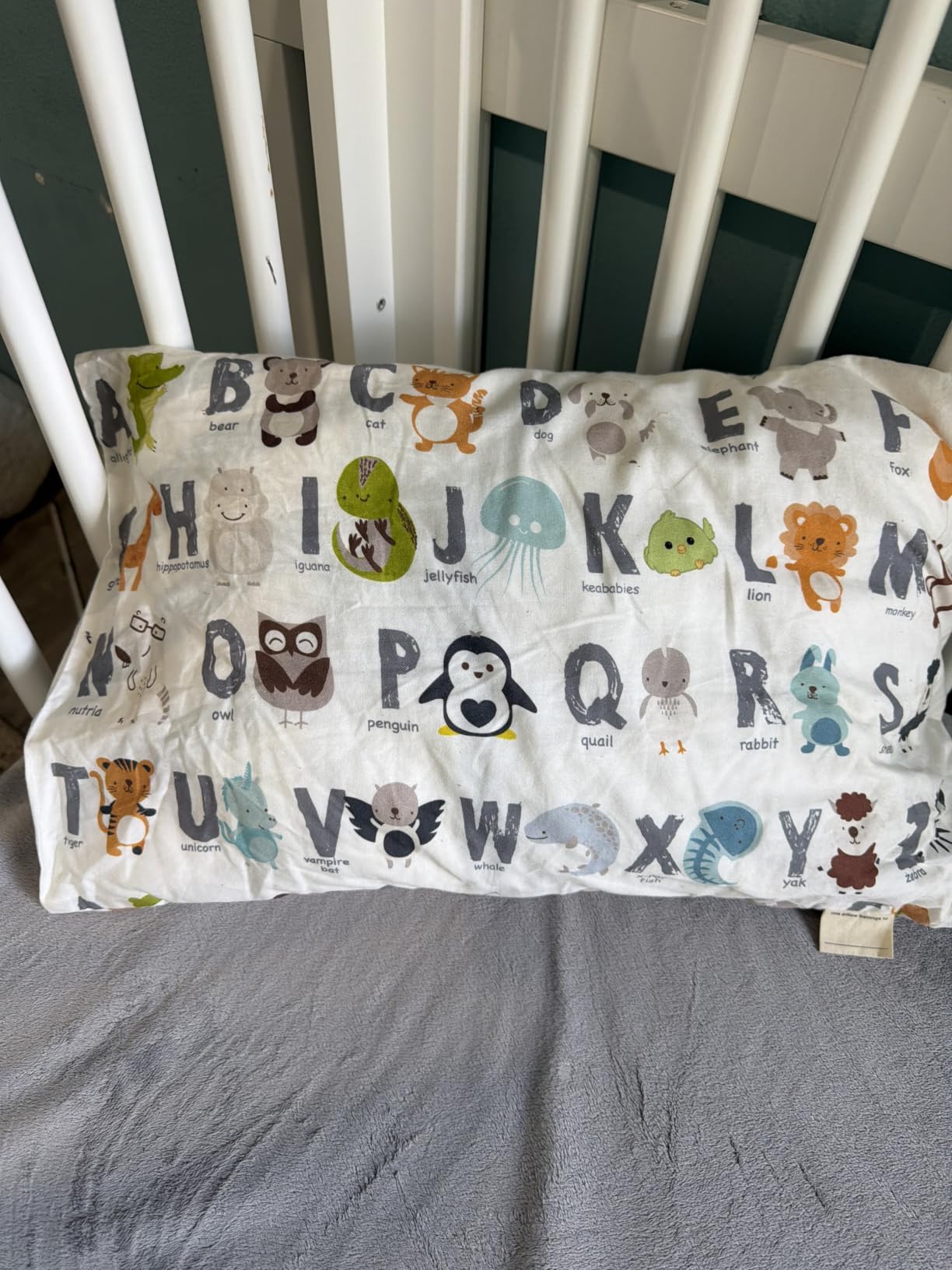 Toddler Pillow with Pillowcase, 13x18 My Little Dreamy Pillow (Soft White) customer photo 2