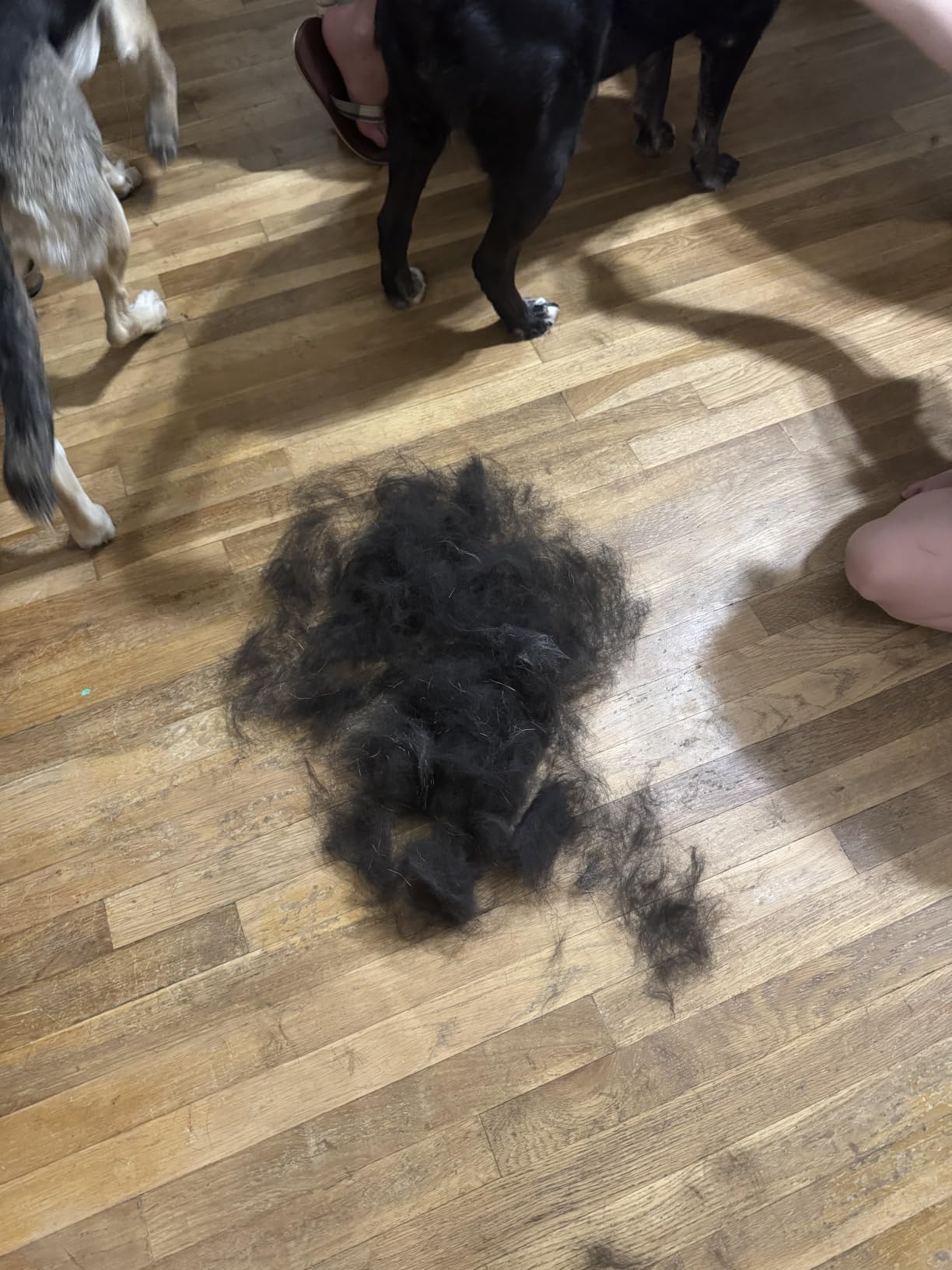 FURminator Medium Dog Undercoat deShedding Tool for Long Hair customer photo 2