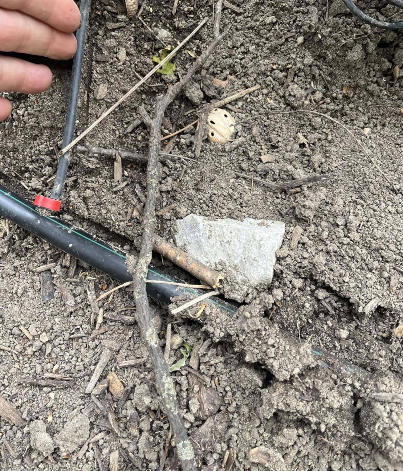 Rain Bird LNDDRIPKIT Drip Irrigation Kit customer photo 1