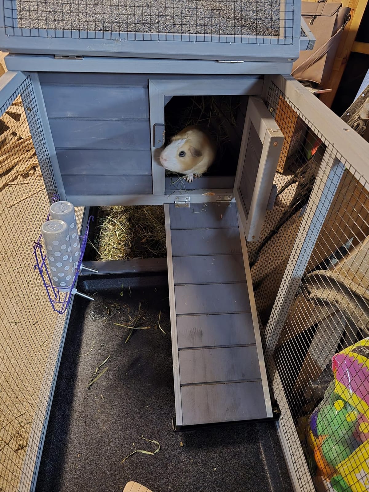 Aivituvin Rabbit Hutch Outdoor Indoor Rabbit Cage Chikcen Coop with Casters Guinea Pig Cage with 3 Deep No Leakage Pull Out Tray,Waterproof Roof customer photo 1