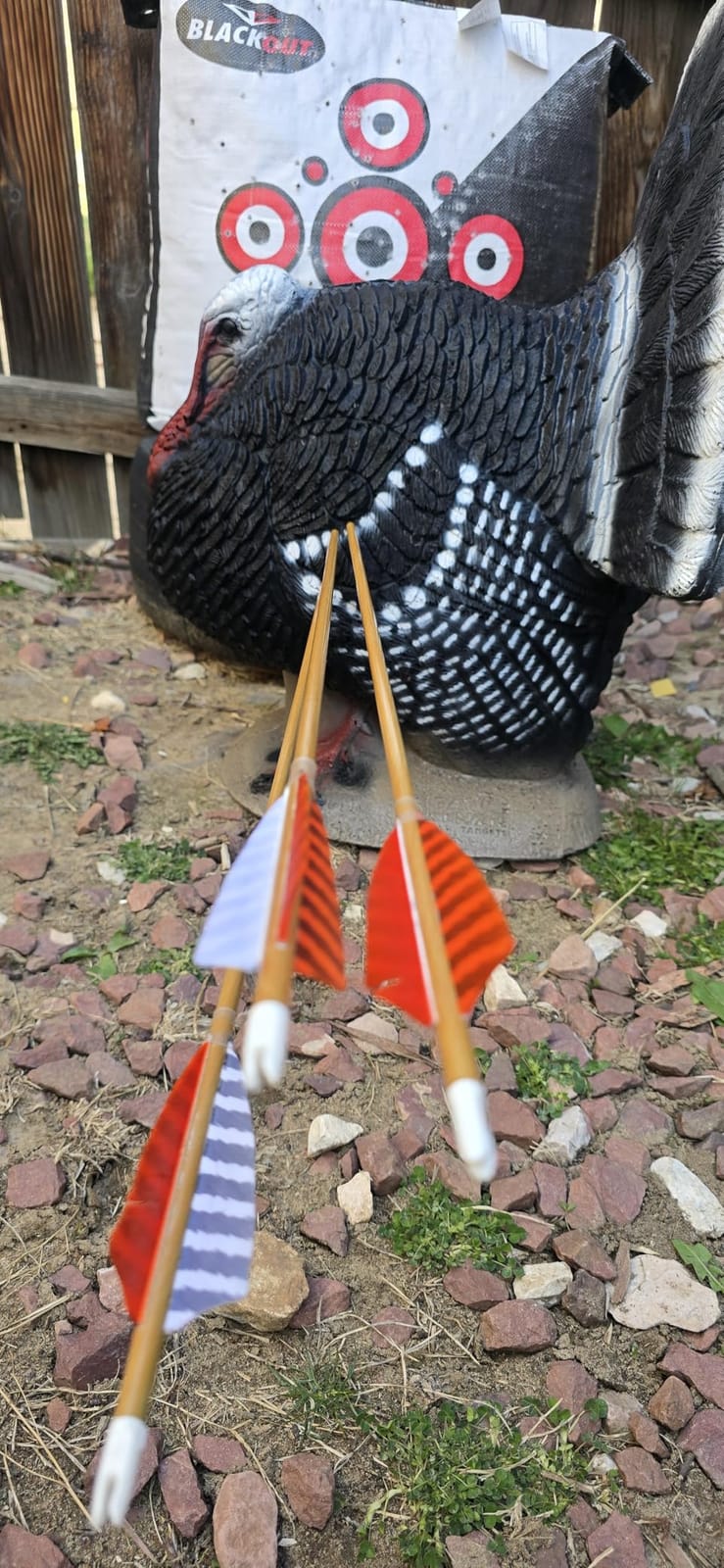 Obert Original Black Hunter Takedown Recurve Bow 60inch with Bamboo Core Limbs Archery Hunting Target Practice customer photo 2