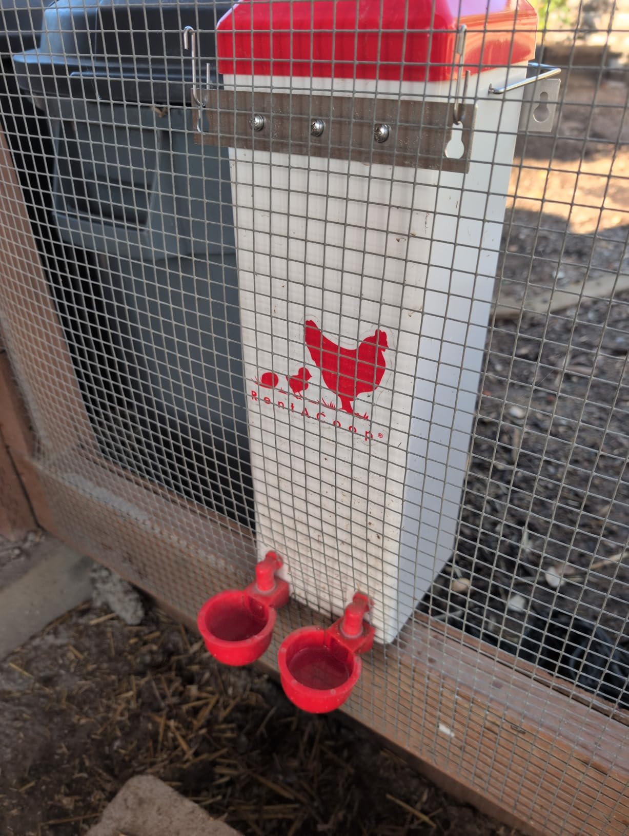 RentACoop 2 Gallon High Rise Chicken Waterer with Cups & Nipples customer photo 1