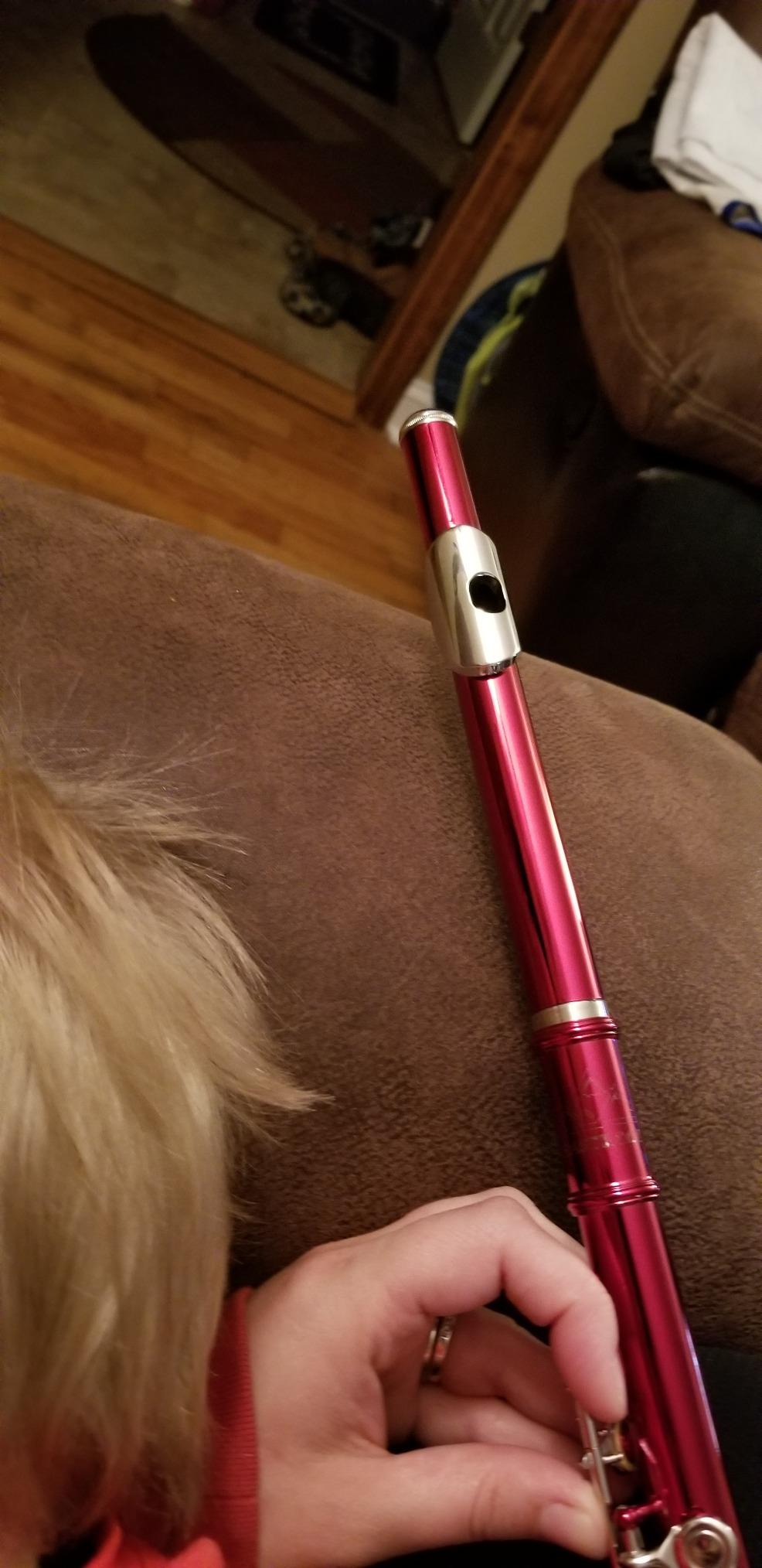 EASTROCK Closed Hole Flutes C 16 Key for Beginner, Kids, Student -Nickel Flute with Case Stand and Cleaning kit (Purple) customer photo 1