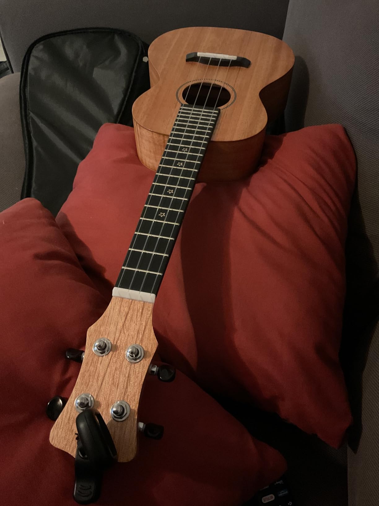 Enya EUC-25D 23 Inch Concert Ukulele, Solid Mahogany Top, Blue customer photo 1