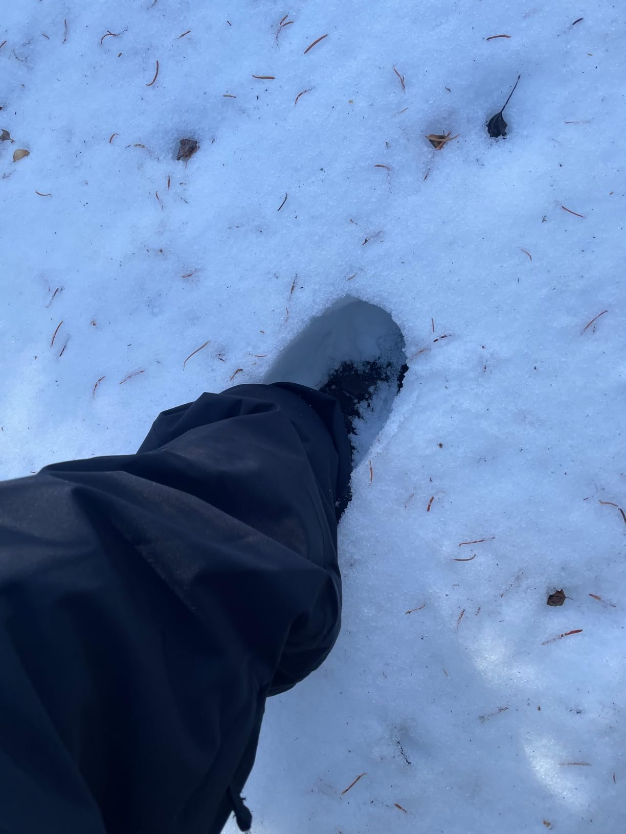 NORTIV 8 Men's Insulated Waterproof Winter Snow Boots customer photo 1