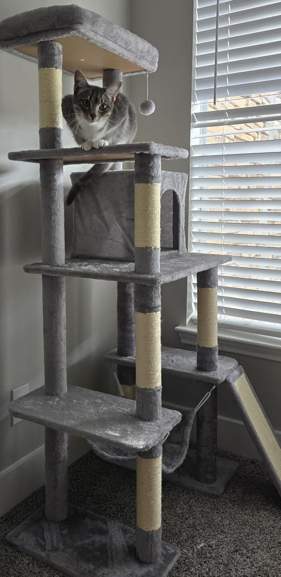 Yaheetech 63in Sturdy Large Cat Tree for Indoor Heavy Cats, Tall Tower customer photo 1