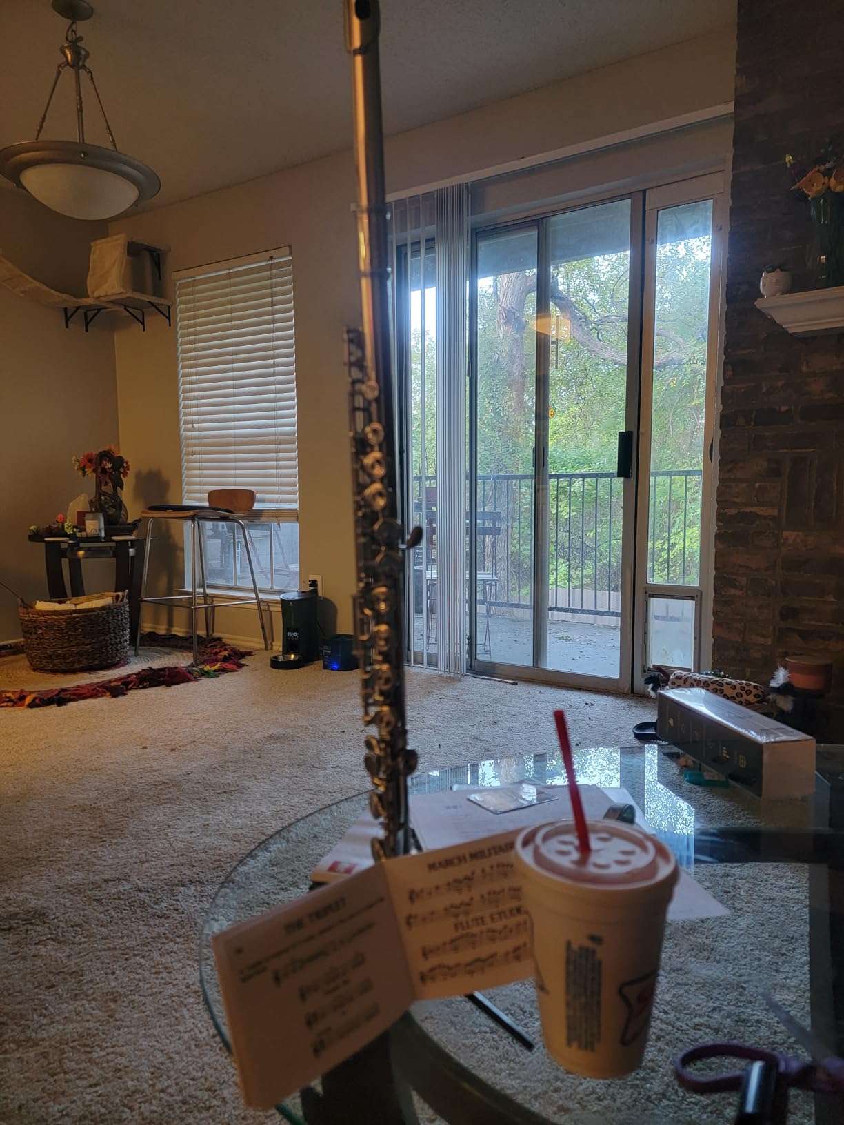 Cecilio Closed Hole C Flute - Musical Instrument, Beginner/Intermediate Flute in Band & Orchestra, Nickel customer photo 2