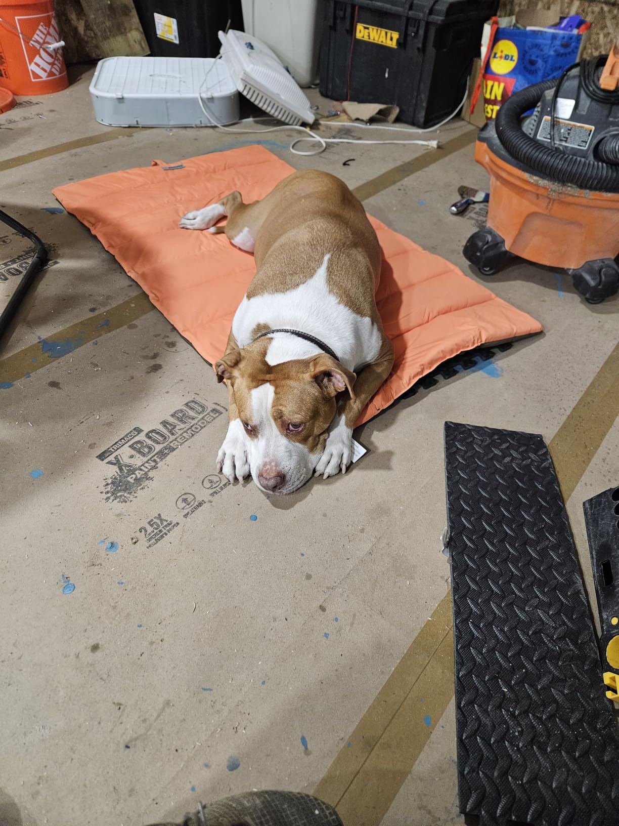 CHEERHUNTING Outdoor Dog Bed, Waterproof, Washable, Large Size, Durable, Water Resistant, Portable and Camping Travel Pet Mat 51X35 customer photo 1