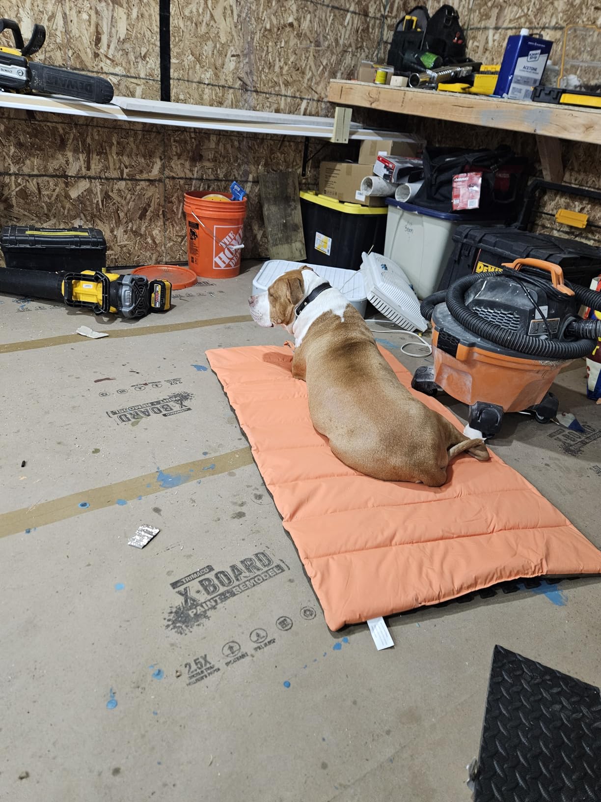 CHEERHUNTING Outdoor Dog Bed, Waterproof, Washable, Large Size, Durable, Water Resistant, Portable and Camping Travel Pet Mat 51X35 customer photo 2