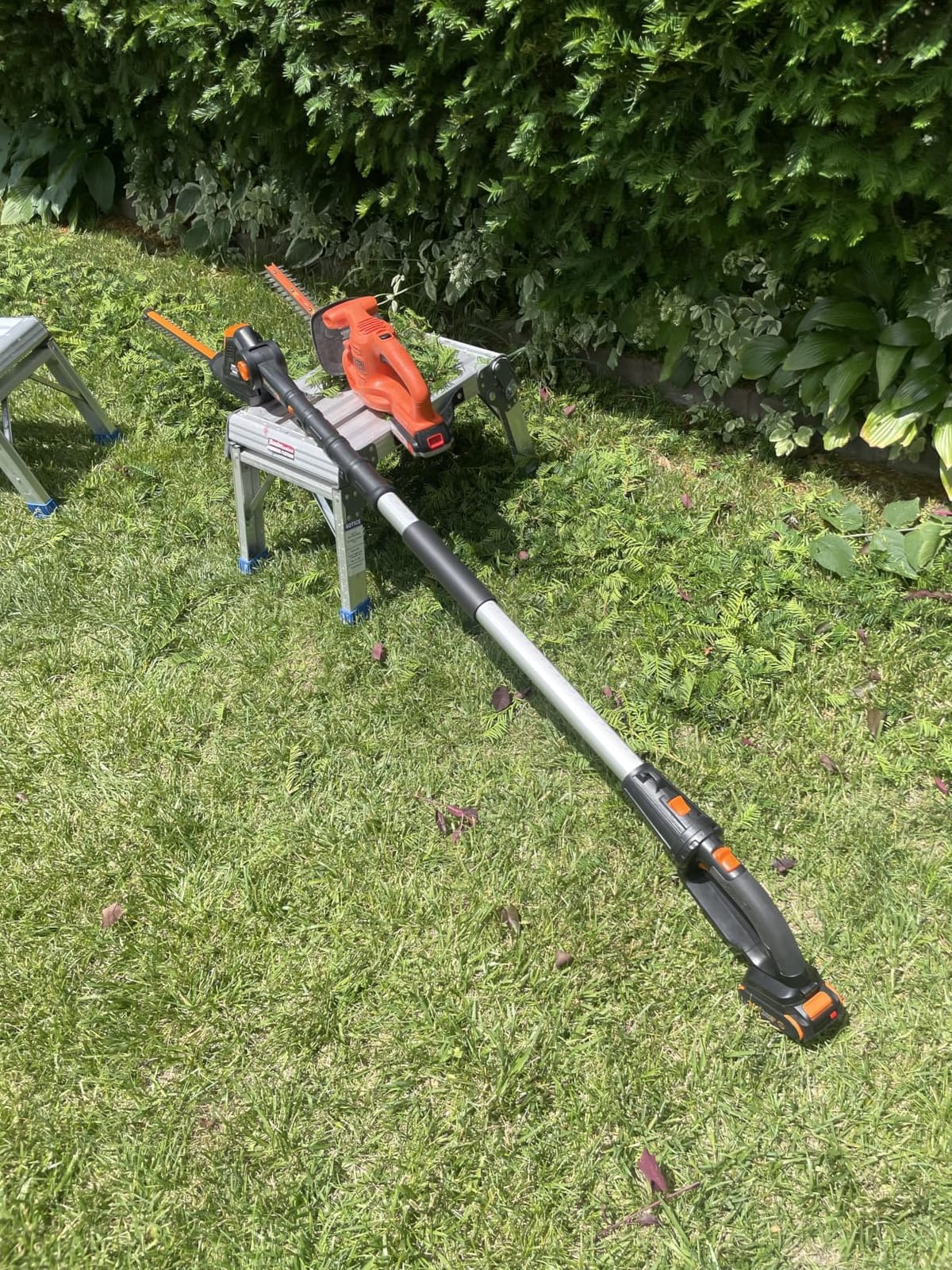 WORX Cordless Pole Hedge Trimmer, 20V 20
