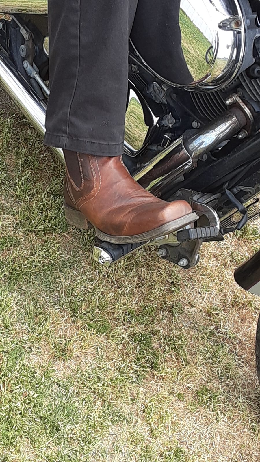 ARIAT Midtown Rambler customer photo 1