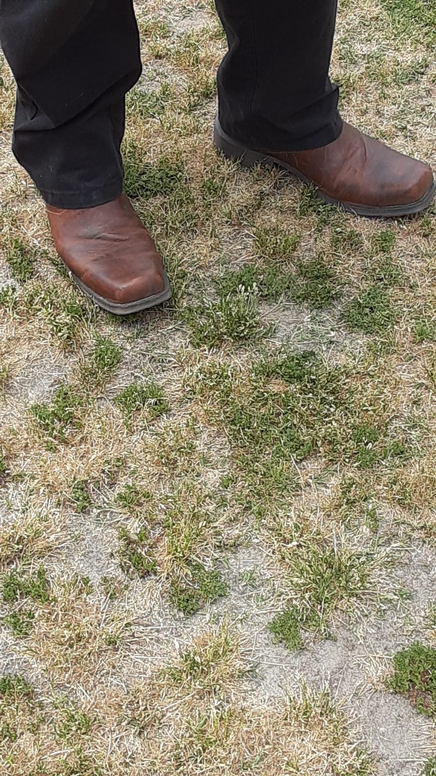 ARIAT Midtown Rambler Men's Chelsea Boot customer photo 1