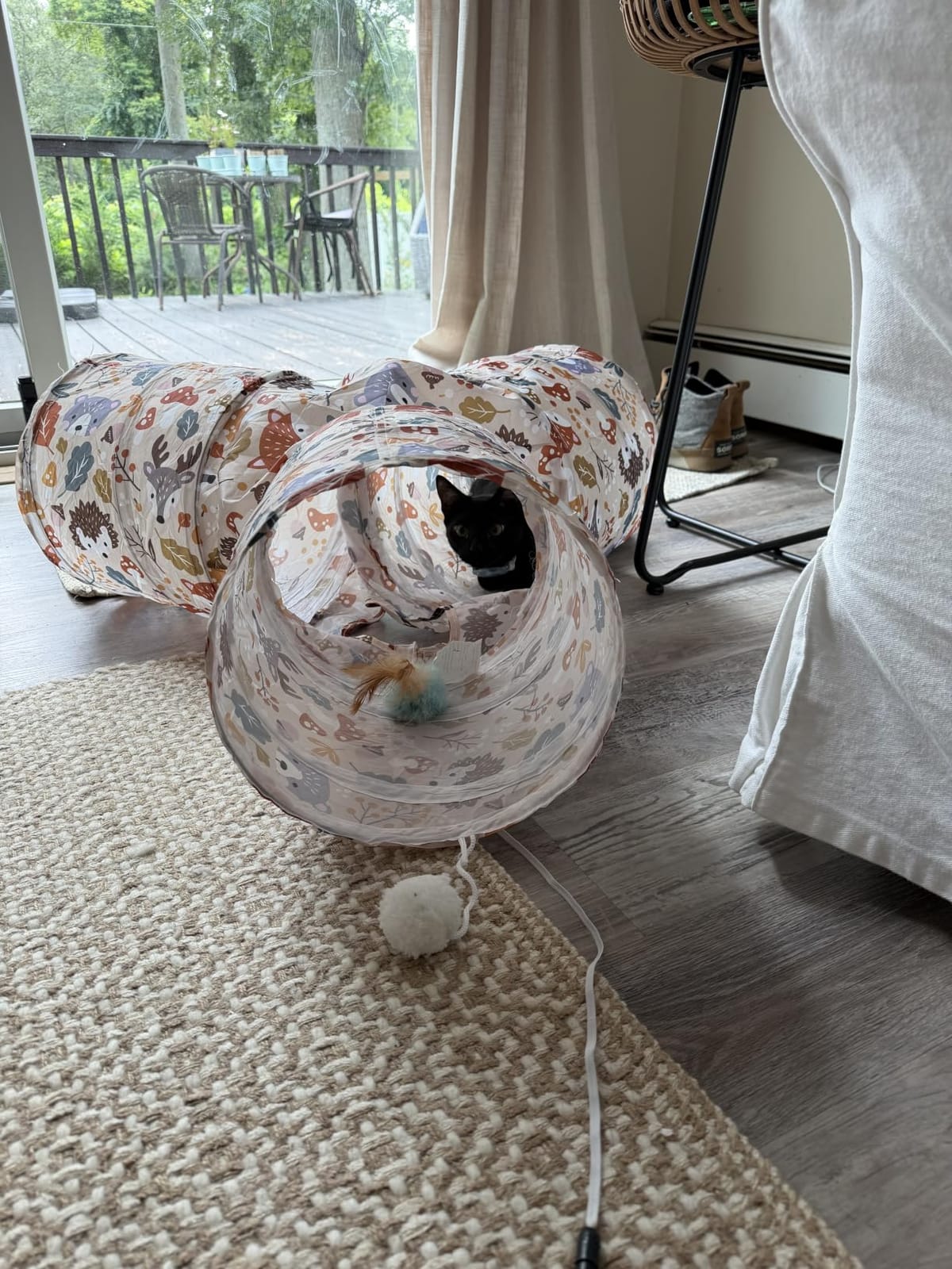 Tempcore Pet Tunnel Tube Cat Toys, Cat Tunnels for Indoor Cats customer photo 2