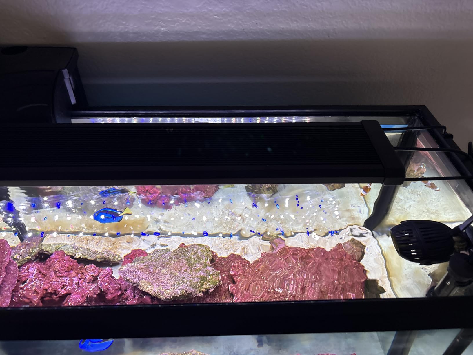 NICREW 32W Saltwater Aquarium Light, Marine LED Reef Light for Corals, Programmable Timer Controller, 30 to 36-Inch customer photo 2
