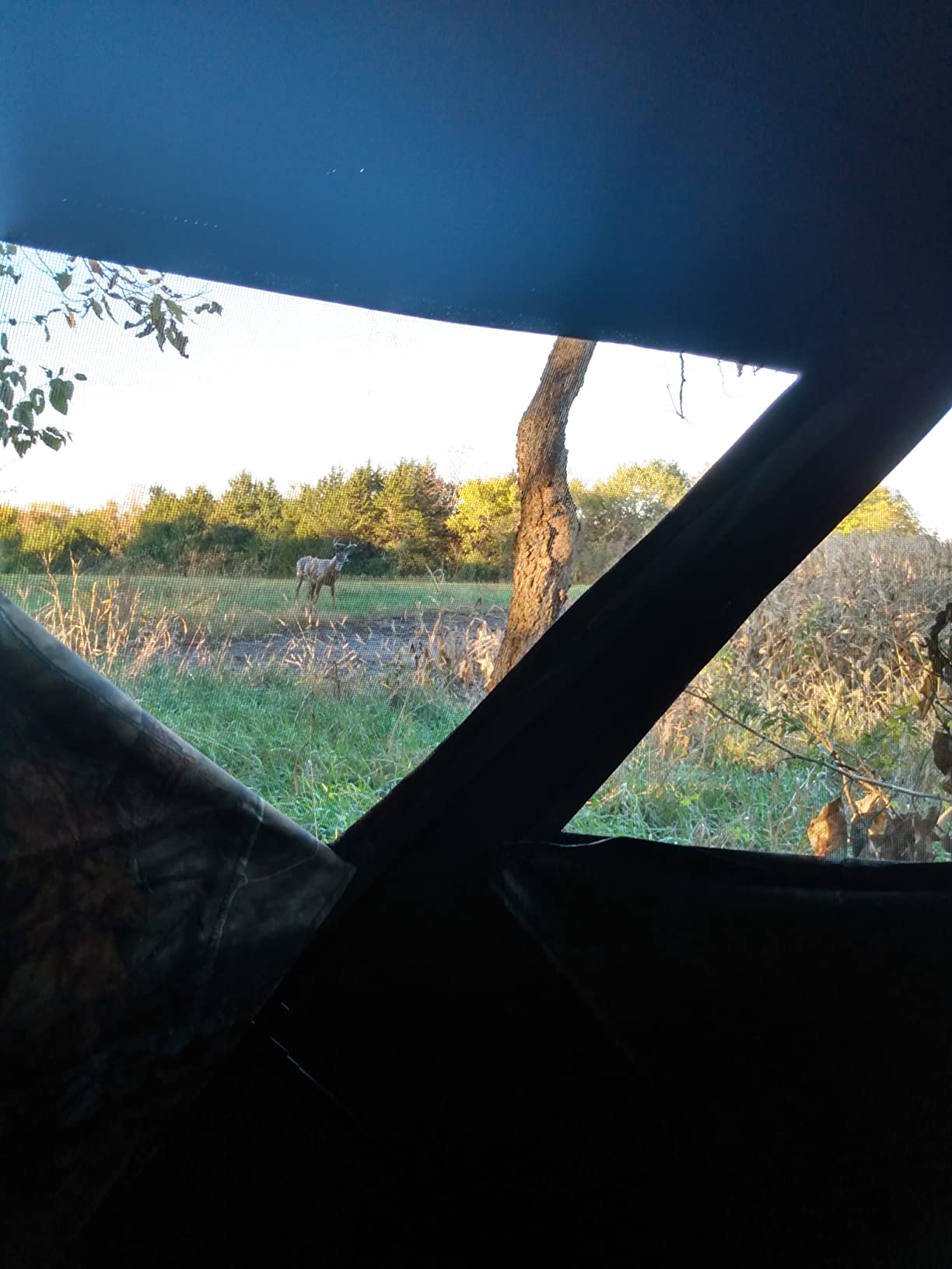 Ameristep Care Taker Ground Blind, Mossy Oak Break Up Country, Model: None customer photo 1