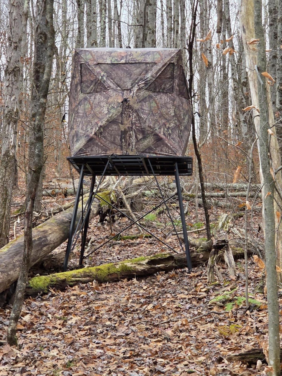 Ameristep Care Taker Ground Blind, Mossy Oak Break Up Country, Model: None customer photo 2