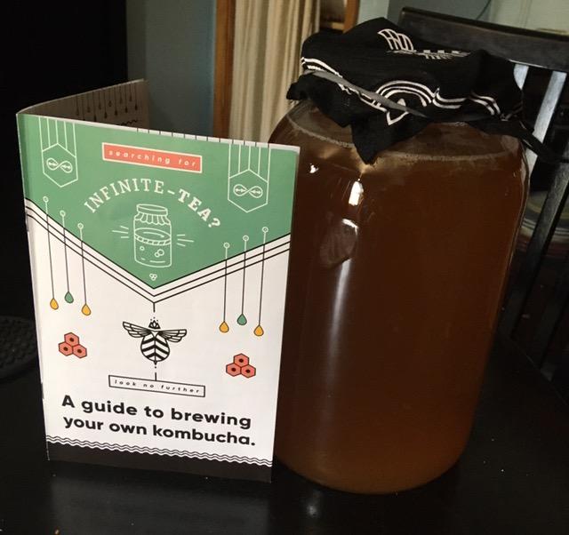Craft A Brew Home Brewing Starter Kit Kombucha Tea Kit – Home Kombucha Kit – Fermentation Starter with Kombucha SCOBY – 1 Gallon customer photo 1