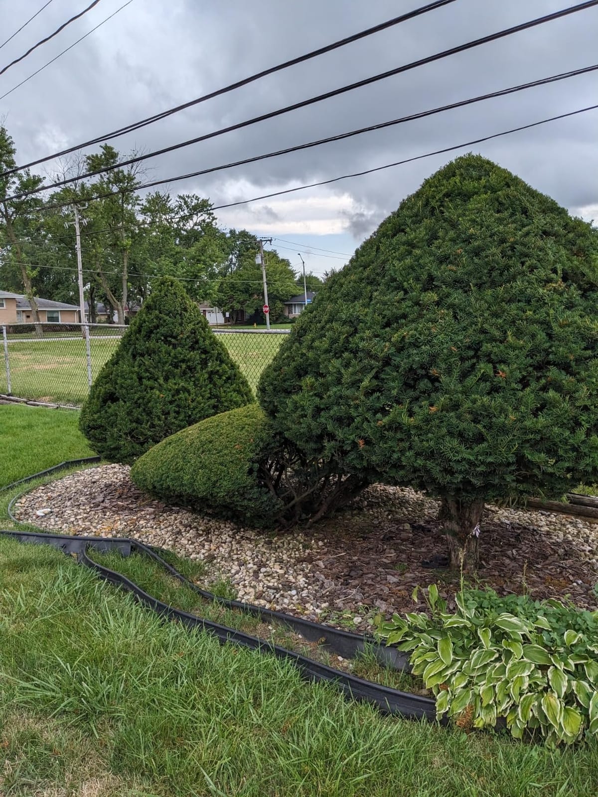 CRAFTSMAN V20 Pole Hedge Trimmer Cordless, 18-Inch, Battery and Charger Included Hedge Trimmer with Extension Pole, Up to 11 Ft Extended Reach (CMCPHT818D1) customer photo 2