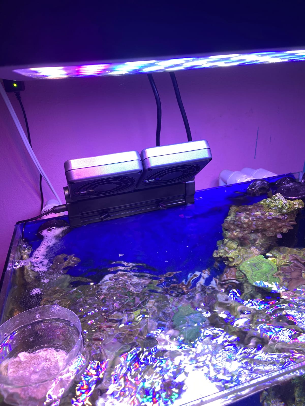 DaToo Aquarium Chiller Fish Tank Fan Aquarium Cooling Fan, 1 Yr Warranty customer photo 1