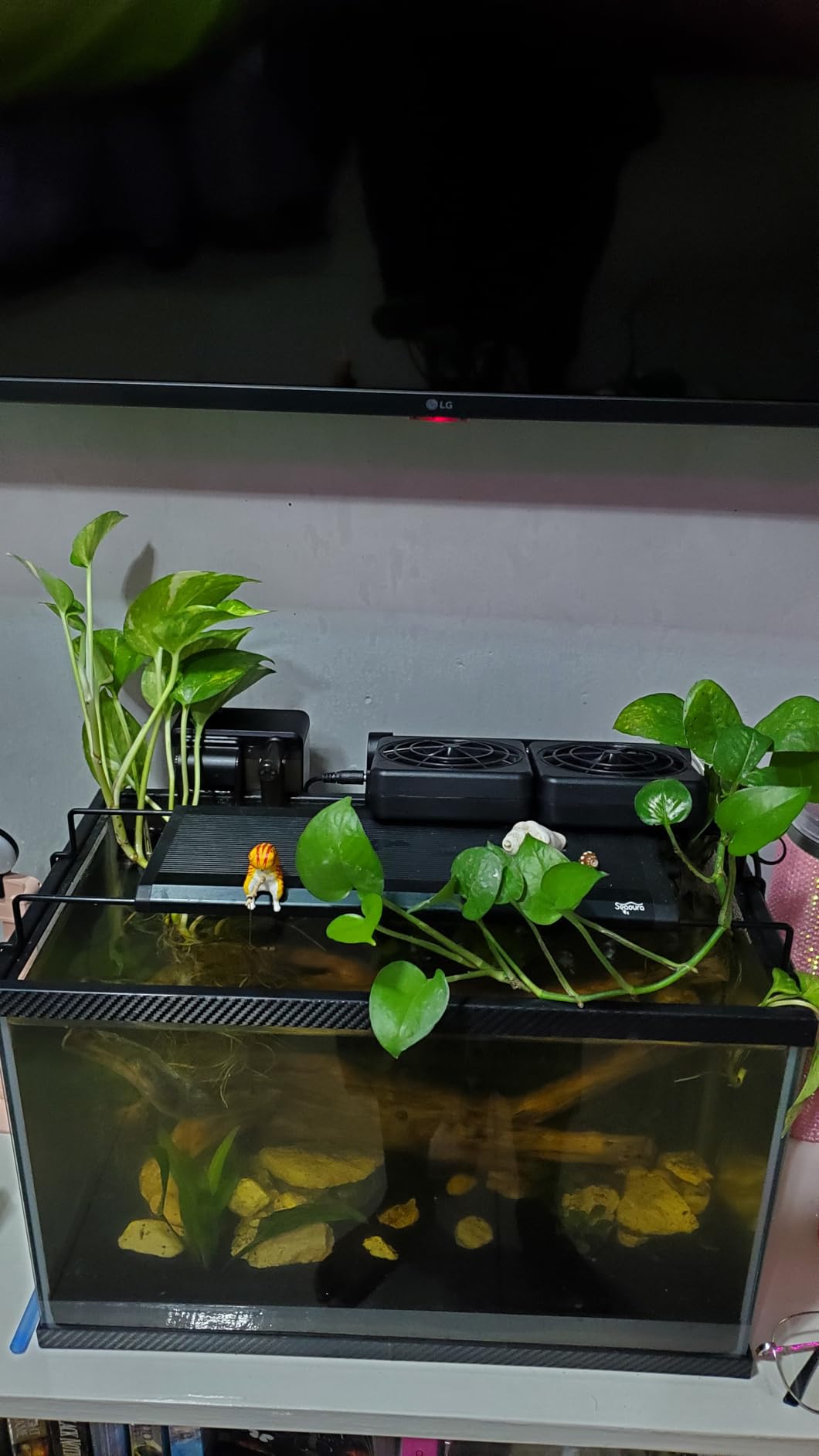 DaToo Aquarium Chiller Fish Tank Fan Aquarium Cooling Fan, 1 Yr Warranty customer photo 2