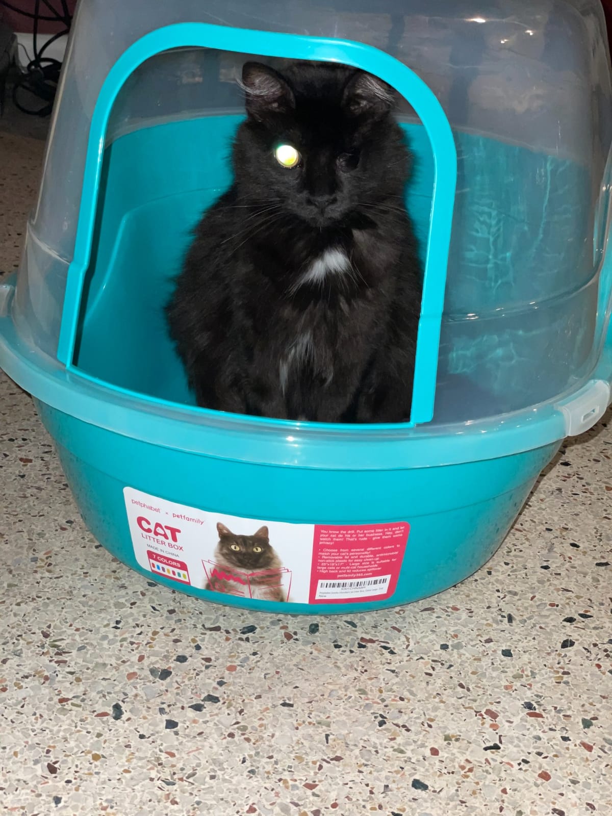 Petphabet Jumbo Hooded Cat Litter Box, Extra Large Gray customer photo 1