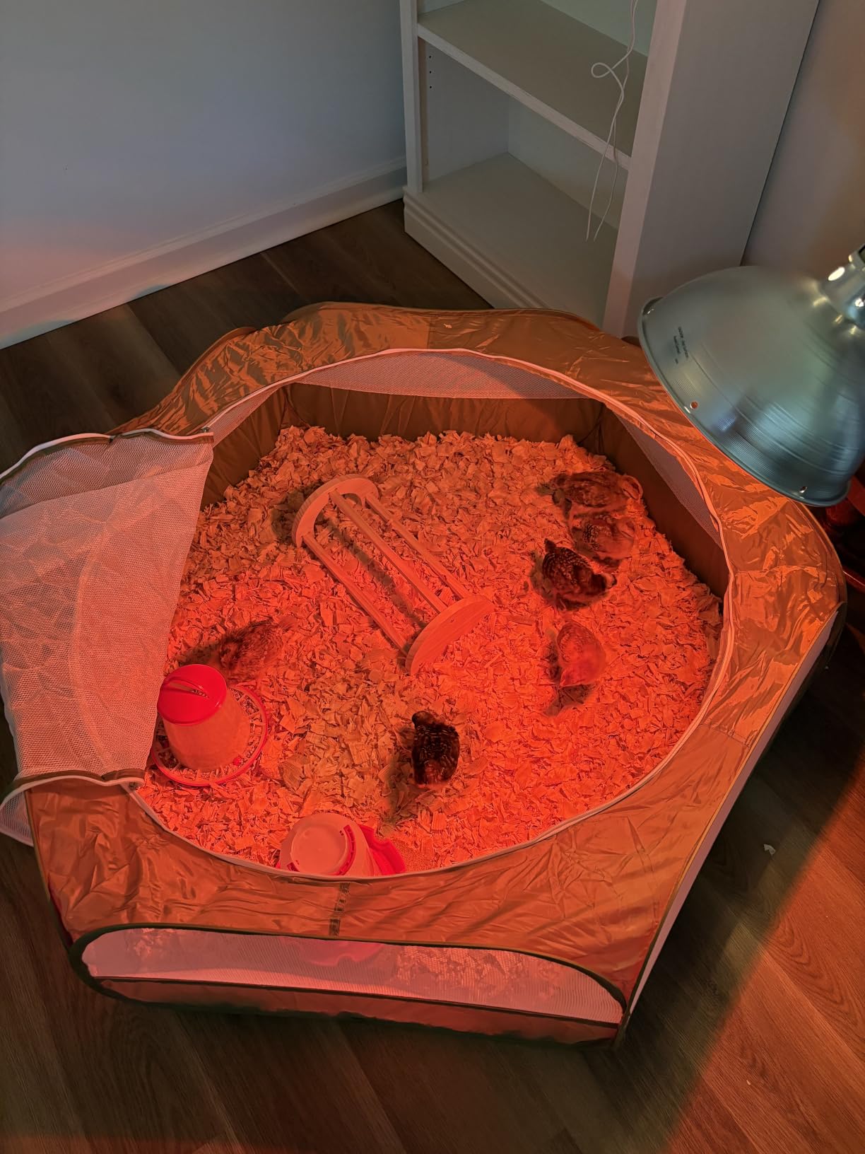 Pawaboo Small Animal Playpen with Zippered Cover,Green customer photo 2