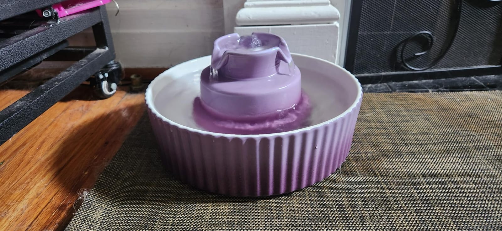 Wonder Creature Ceramic Cat Water Fountain, Stable Cupcake Design, 71oz customer photo 2