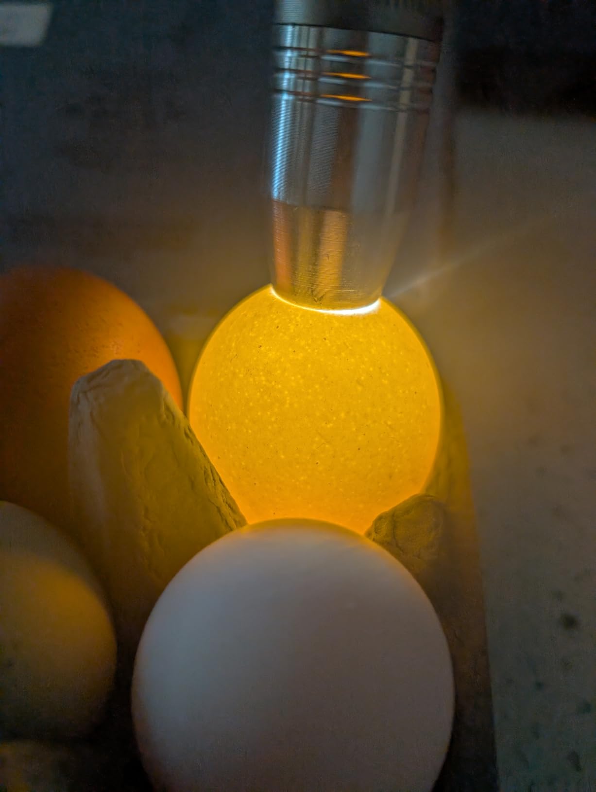 Egg Candler Light Tester Egg Candler Tester Candling Lamp for All Egg Typy customer photo 2