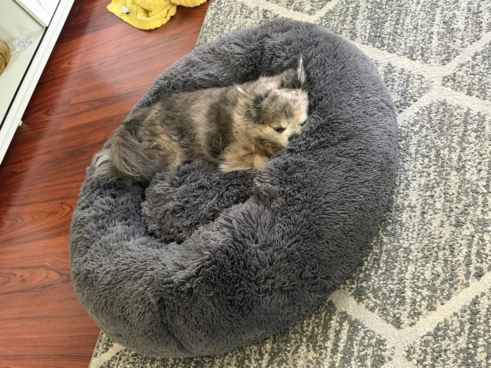 Bedsure Calming Dog Bed Medium Size Dog Donut Washable Pet Bed,30ins Camel customer photo 1