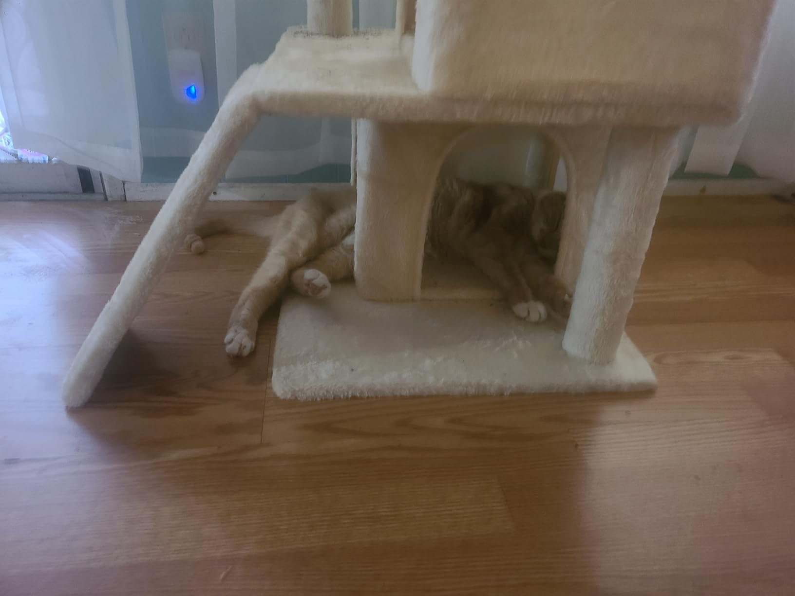 Yaheetech 36in Cat Tree Tower with Large Perch for Senior Kittens customer photo 2