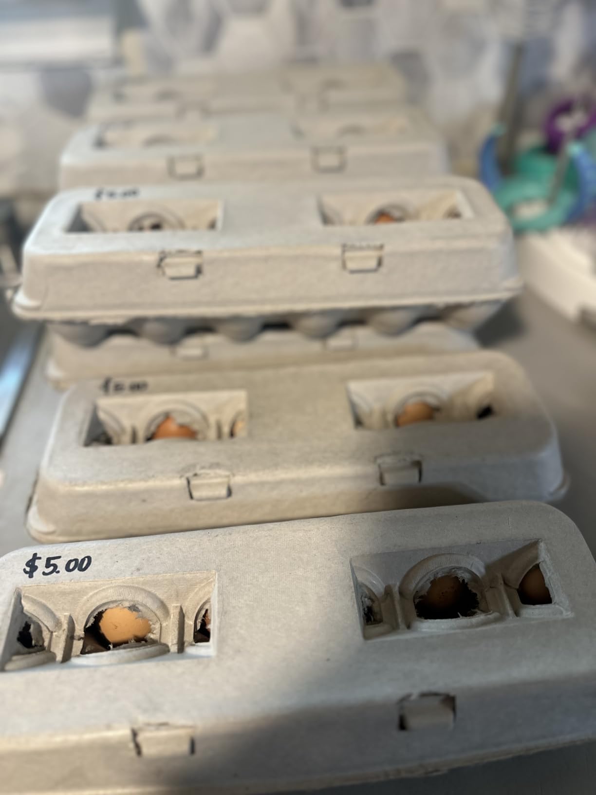 MT Products Blank Natural Pulp Egg Cartons Holds Up to Twelve Eggs - 1 Dozen - Strong Sturdy Egg Crate Cardboard Material Perfect For Storing Extra Eggs (25 Pieces) - Made in the USA customer photo 2