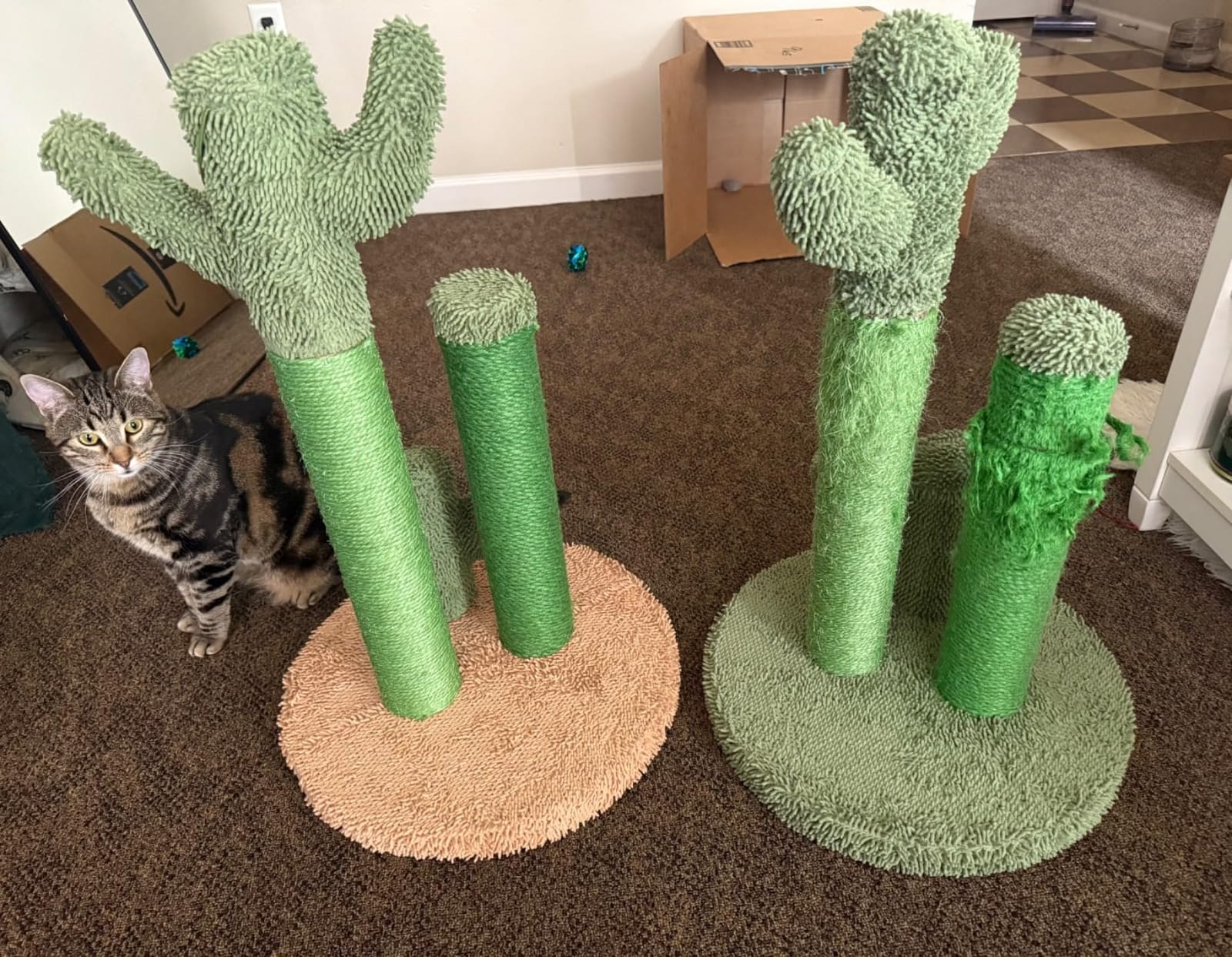 PAWZ Road Cactus Cat Scratching Post 23”Cat Scratcher with Toy Ball customer photo 1
