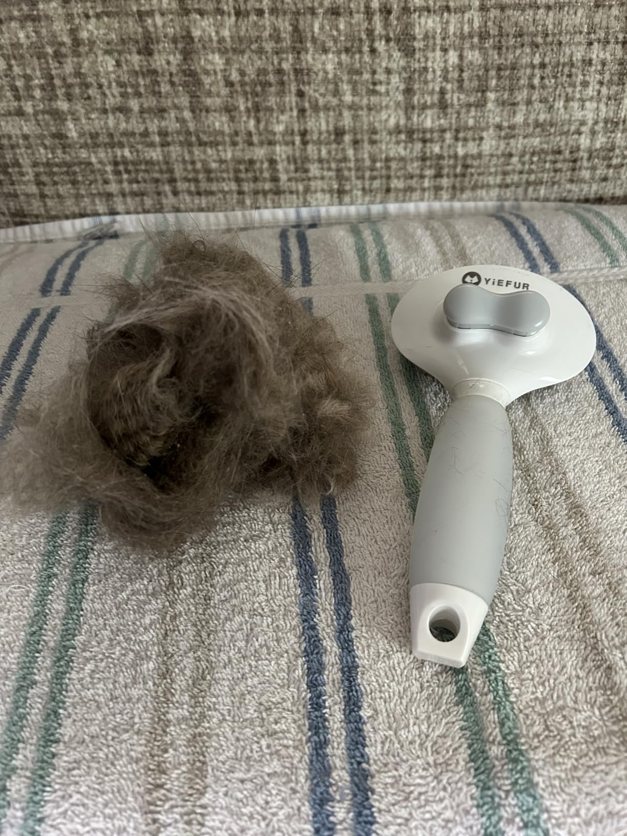 Cat Brush for Shedding, Self Cleaning Brush for Long & Short Hair Cats customer photo 1