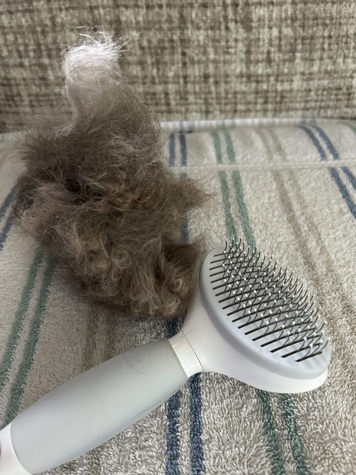 Cat Brush for Shedding, Self Cleaning Brush for Long & Short Hair Cats customer photo 2
