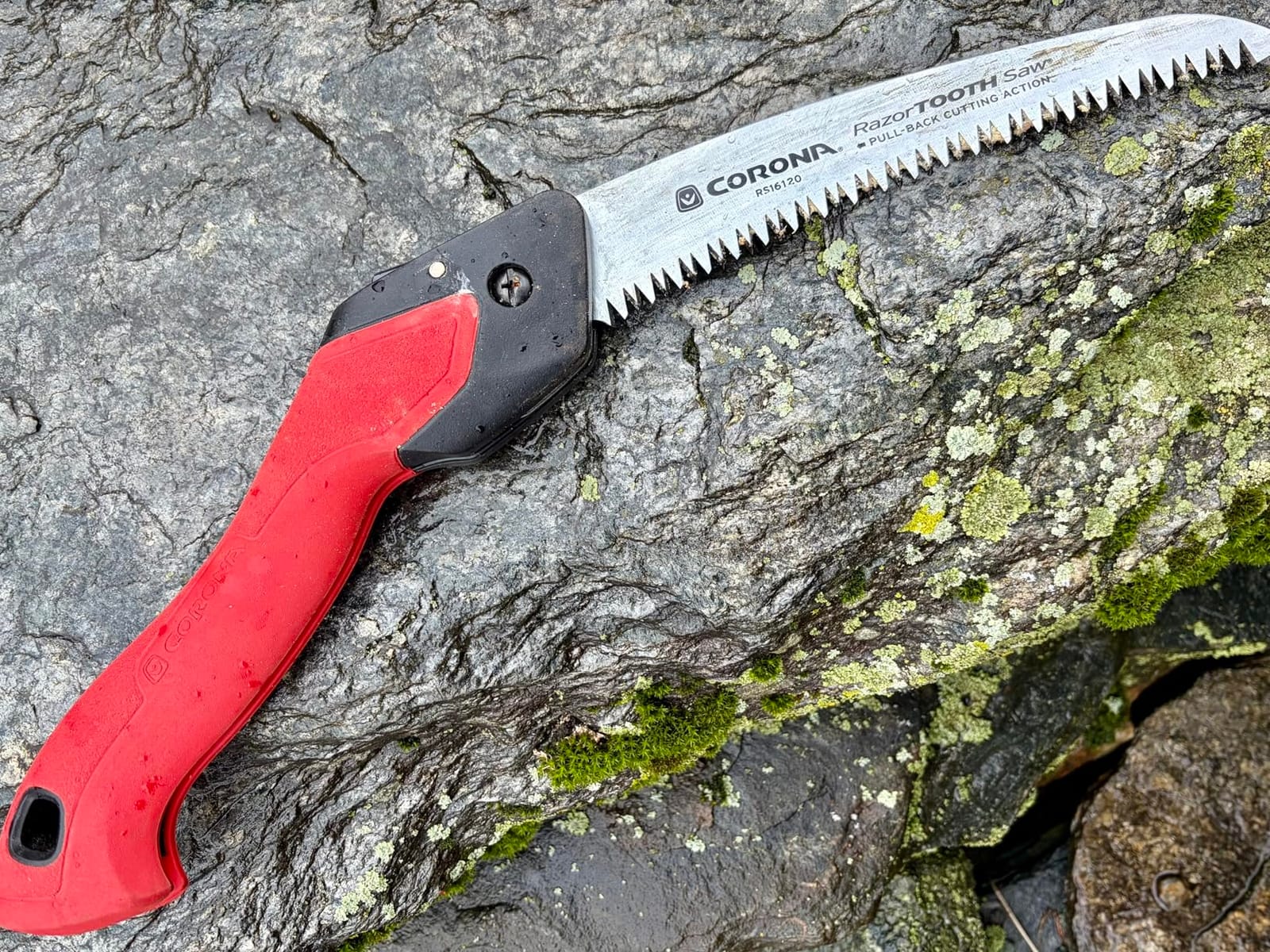 Corona Tools RazorTOOTH Folding Pruning Saw – 7-Inch Tree & Branch Cutting Hand Saw for Gardening, Landscaping & Yard Work, Fast-Cut Razor Tooth Blade customer photo 2