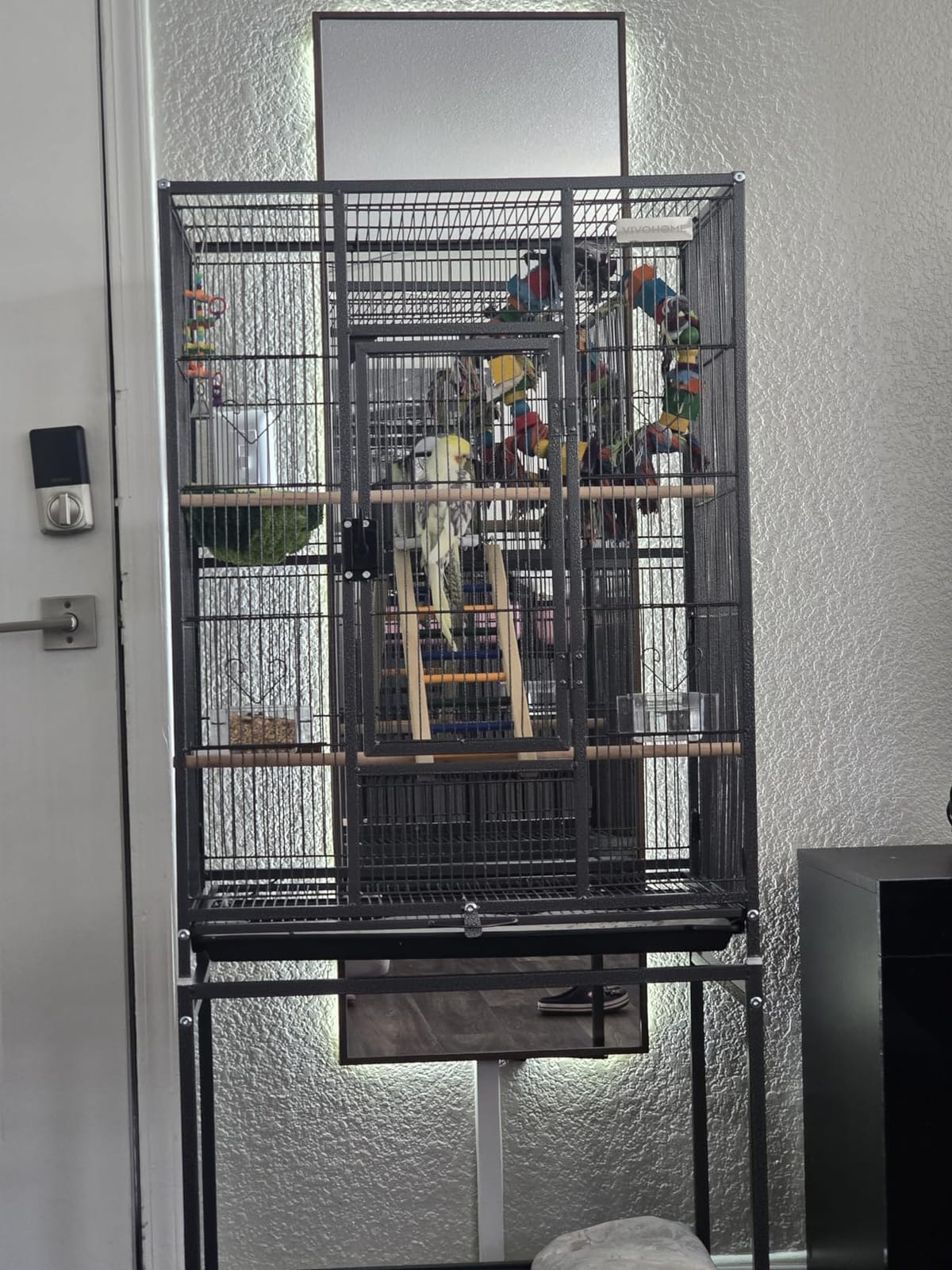 VIVOHOME 54 Inch Wrought Iron Large Bird Cage with Rolling Stand customer photo 2