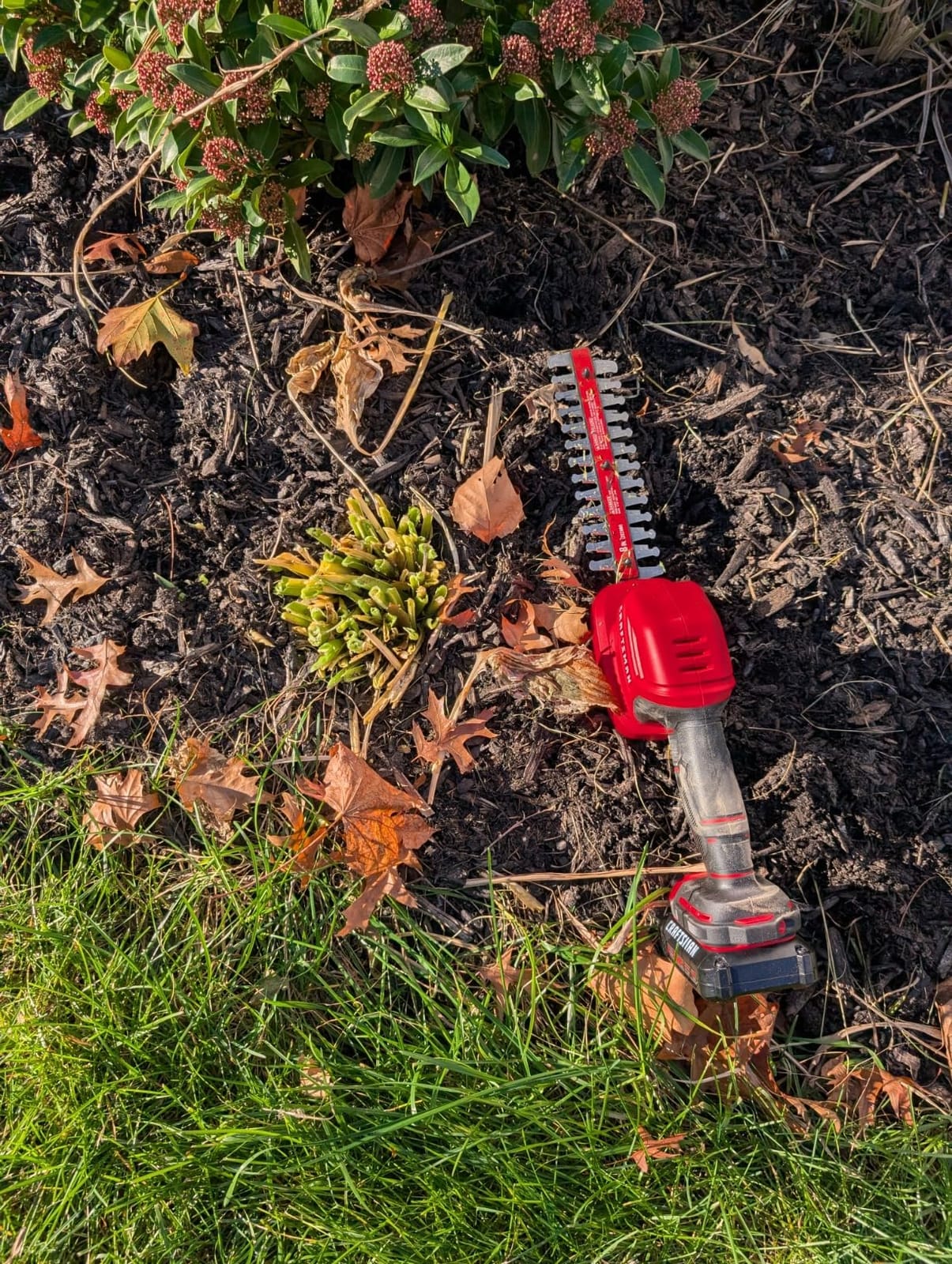 CRAFTSMAN V20 4 In. Cordless Handheld Grass Trimmer and 8 In. Mini Hedge Trimmer, Battery and Charger Included, Rechargeable 2 in 1 Grass Shear and Bush Trimmer (CMCSS800C1) customer photo 1