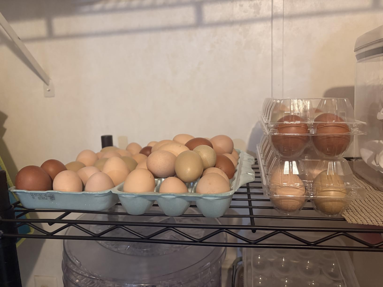 Large Plastic Egg Cartons 30 Packs with Sticker Labels for 12 Eggs, Cheap Bulk Egg Tray Egg Container Holder for Refrigerator, Storage, Family, Chicken Farm, Market, Camping customer photo 2