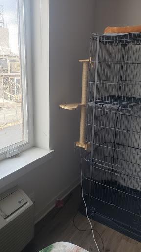 FUKUMARU Cat Activity Tree with Scratching Posts, Wall Mounted Jute Scratcher Pine Hammock customer photo 1