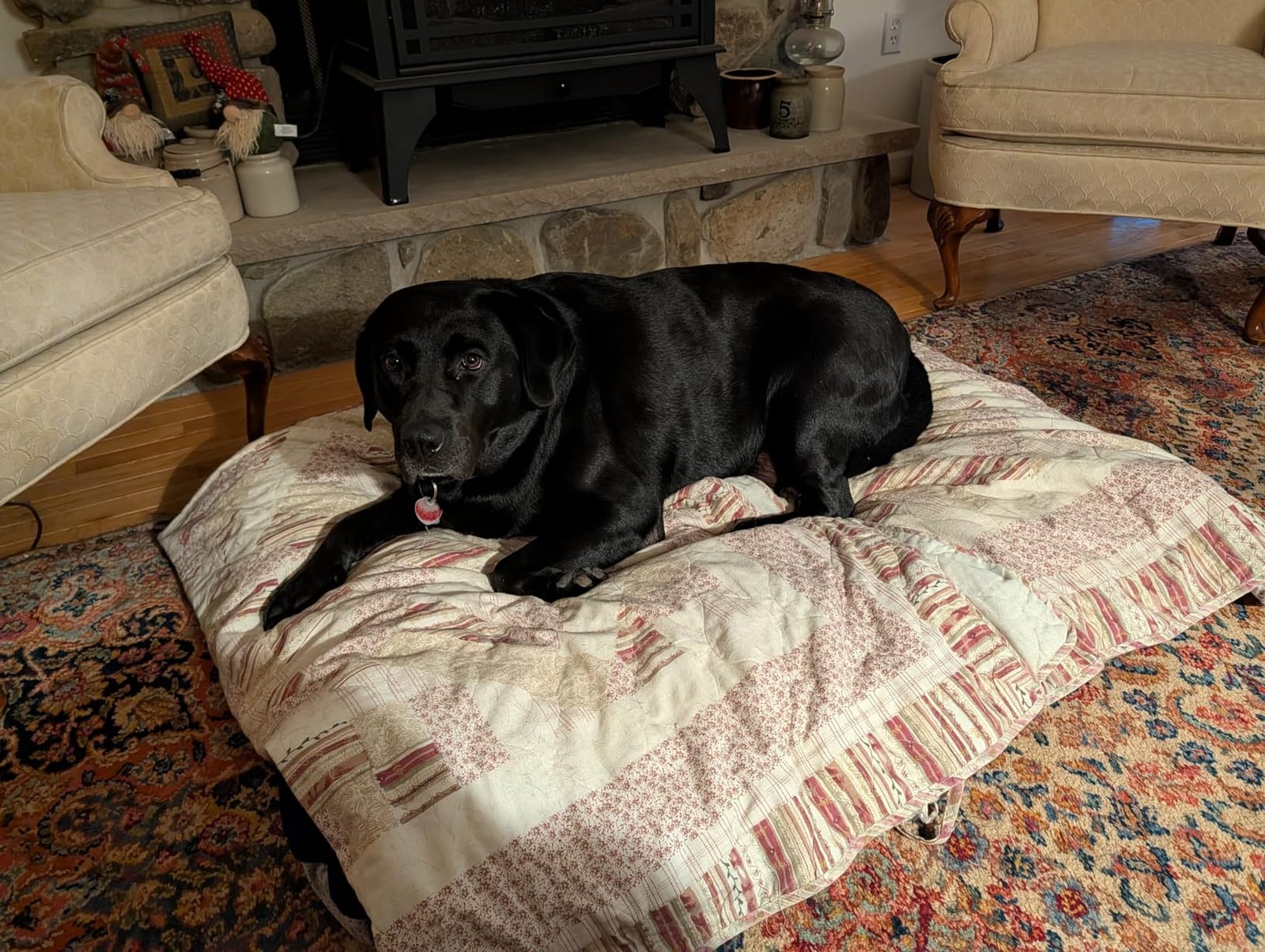 Magic Dog Orthopedic Extra Large Dog Bed 47 Inch, Super Soft XL Pet Bed customer photo 2