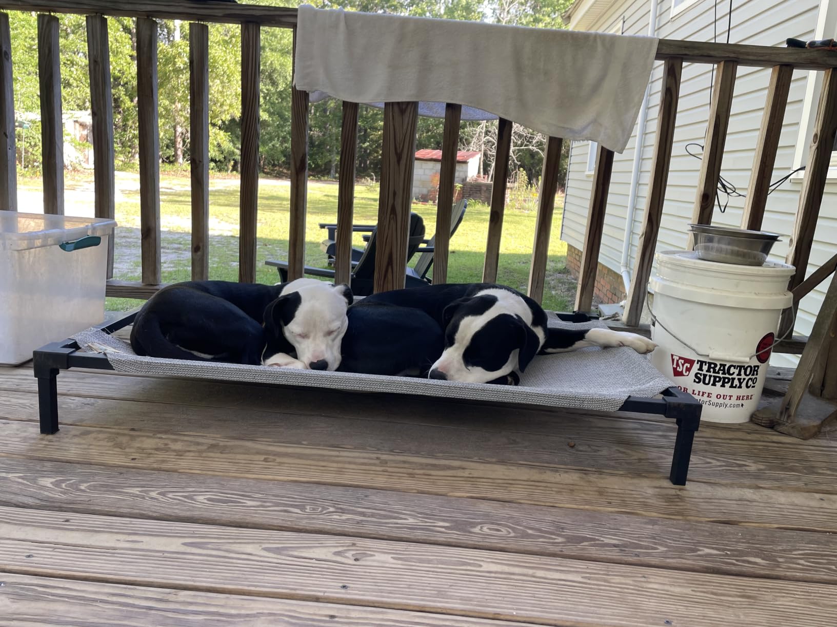 K&H Outdoor Elevated Dog Bed for Large & Extra-Large Pets, Tan, XL 50x32in customer photo 1