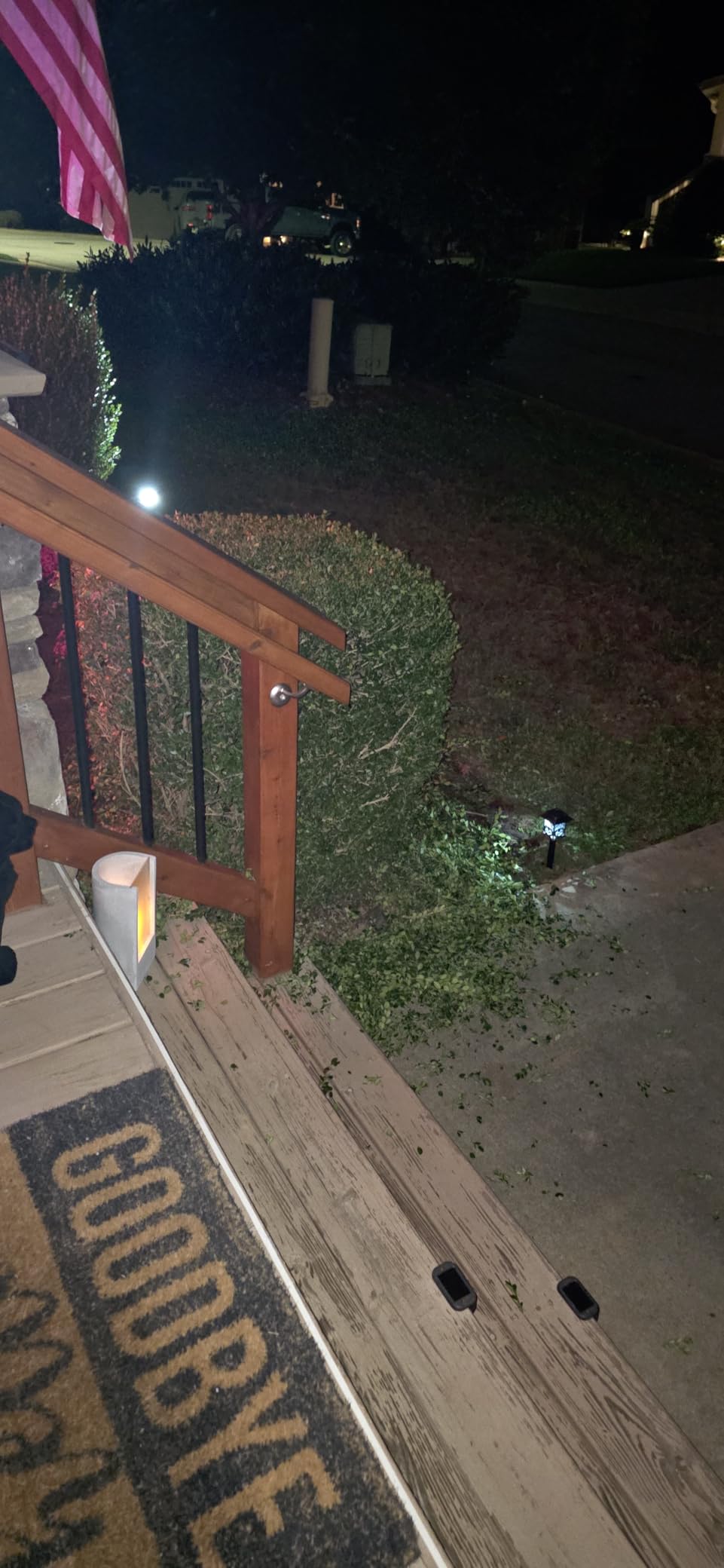 SnapFresh Cordless Grass Shear Bush Trimmer, 2 in 1 Handheld Hedge Trimmer, 7.2V Electric Grass Trimmers, Lightweight Shrubbery Trimmers Battery & Charger Included, Shrub Trimmer for Garden(Green) customer photo 2
