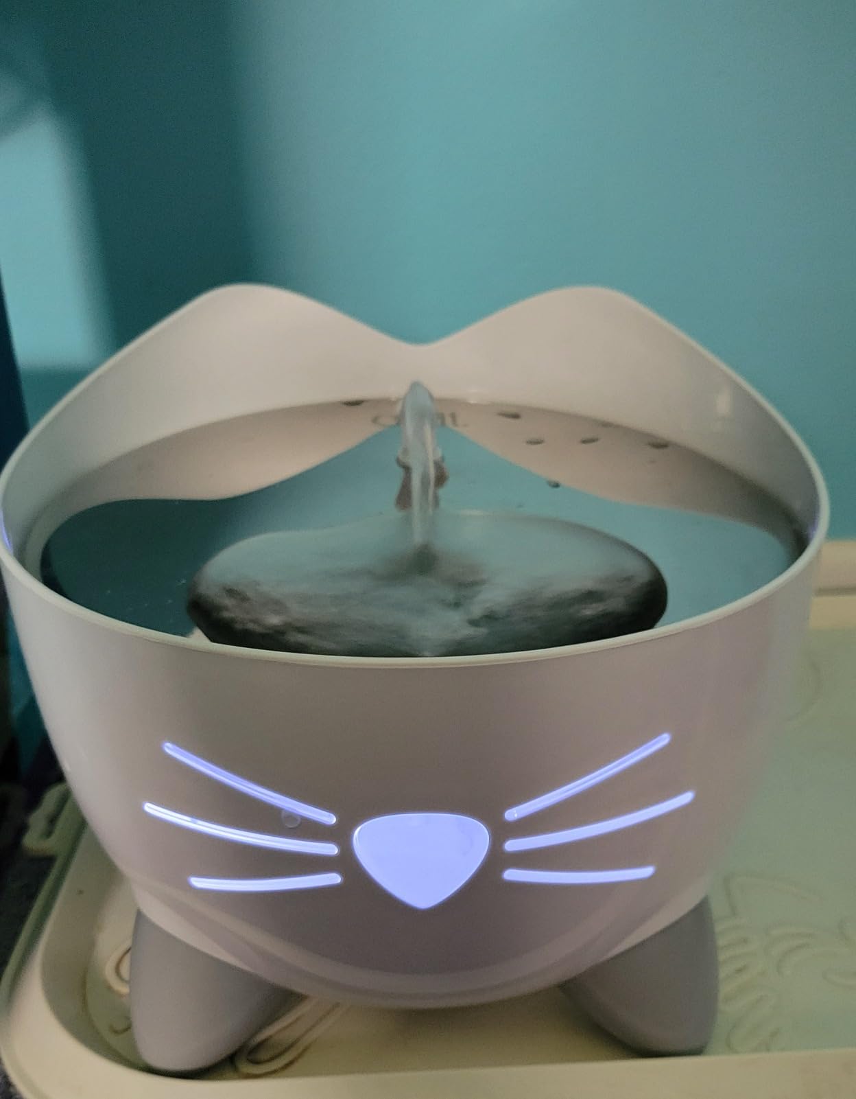 Catit PIXI Drinking Fountain, Green customer photo 1