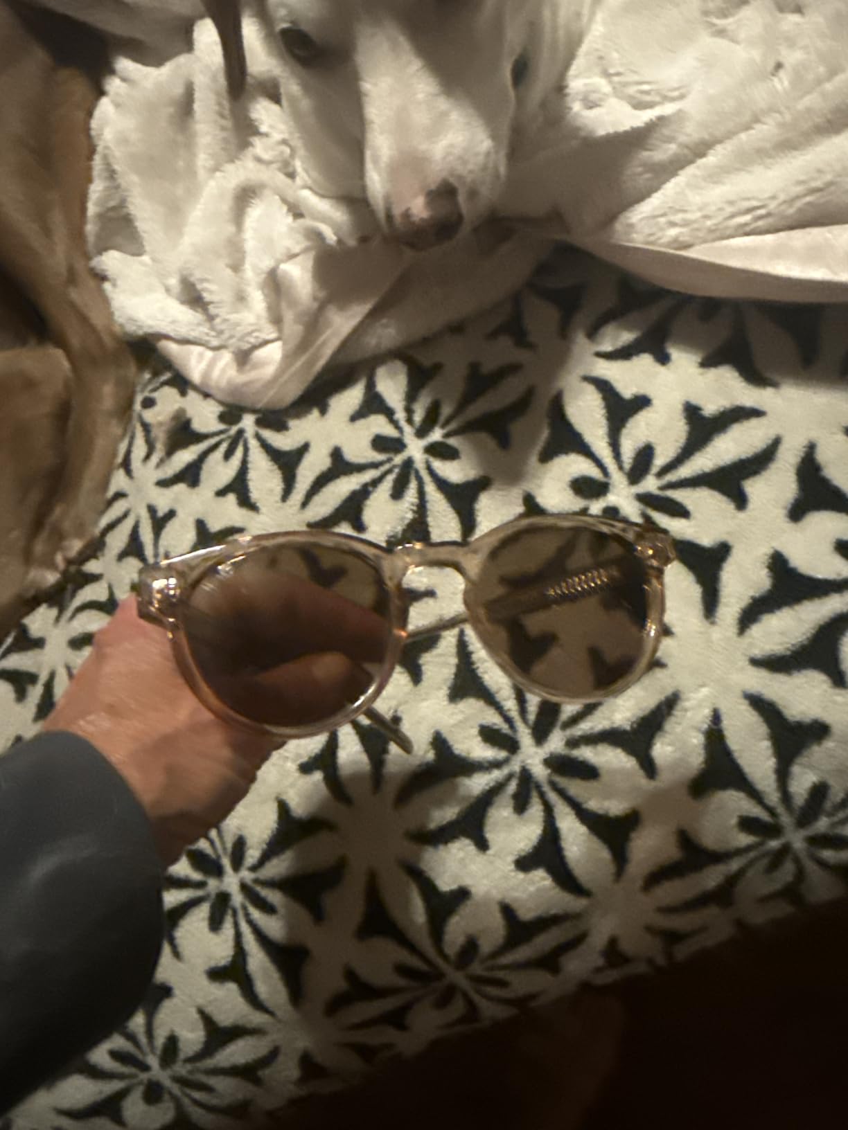 Tate Women's Polarized Sunglasses, Retro Round Frame, UV400 customer photo 2